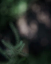 画像をギャラリービューアに読み込む, MeisMe × Yukari Yoshii Square chouchou