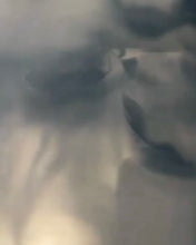 画像をギャラリービューアに読み込む, MeisMe × Yukari Yoshii Square chouchou
