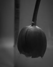 画像をギャラリービューアに読み込む, MeisMe × Yukari Yoshii Square neck camisole - with Framed Art Print
